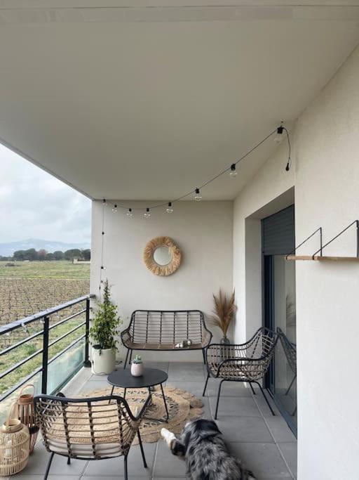 Appartement Vue Vigne Perpinhã Exterior foto
